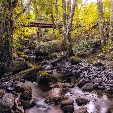 La Glorieta Banos De Montemayor