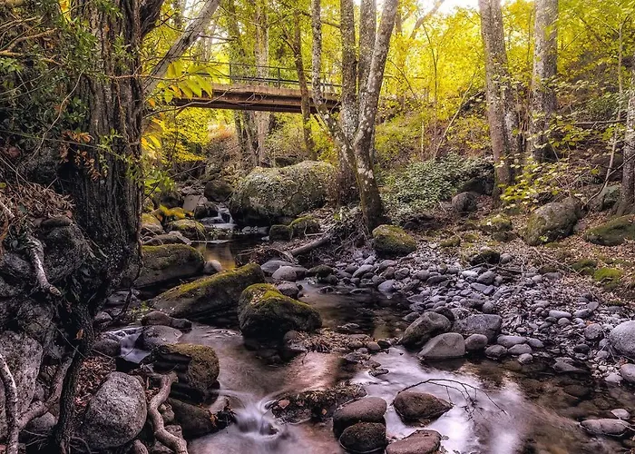 La Glorieta Banos De Montemayor